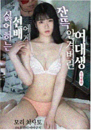 长风入海年代剧封面